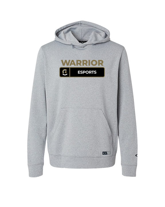 Army & Navy Academy Esports Pennant - Oakley Performance Hoodie