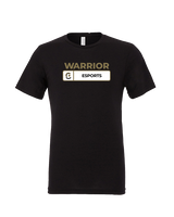 Army & Navy Academy Esports Pennant - Tri-Blend Shirt