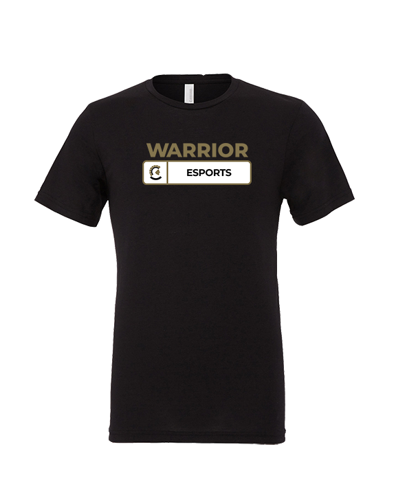 Army & Navy Academy Esports Pennant - Tri-Blend Shirt