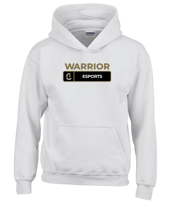 Army & Navy Academy Esports Pennant - Unisex Hoodie