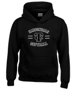 Carbondale HS Softball Curve - Unisex Hoodie