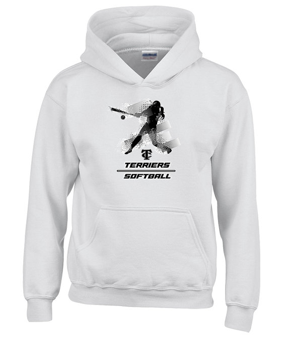 Carbondale HS Softball Swing - Unisex Hoodie