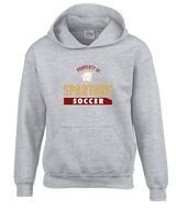 Somerset College Prep Soccer Property - Cotton Hoodie