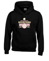 Somerset College Prep Volleyball VB Net - Cotton Hoodie