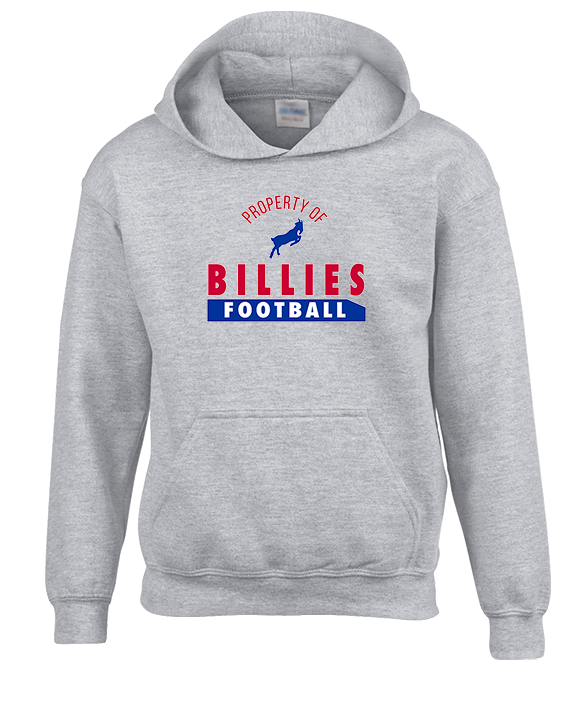 Williamsville South HS Football Property - Unisex Hoodie